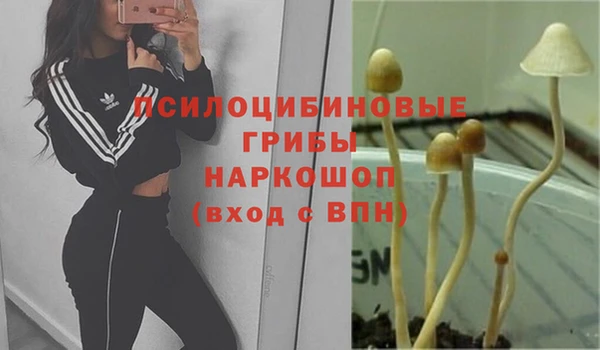 твердый Алексин
