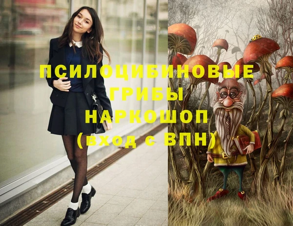 спиды Алексеевка