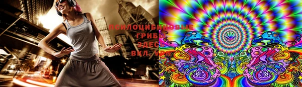 твердый Алексин